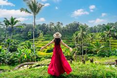 Ubud Tour - Best of Ubud - All Inclusive