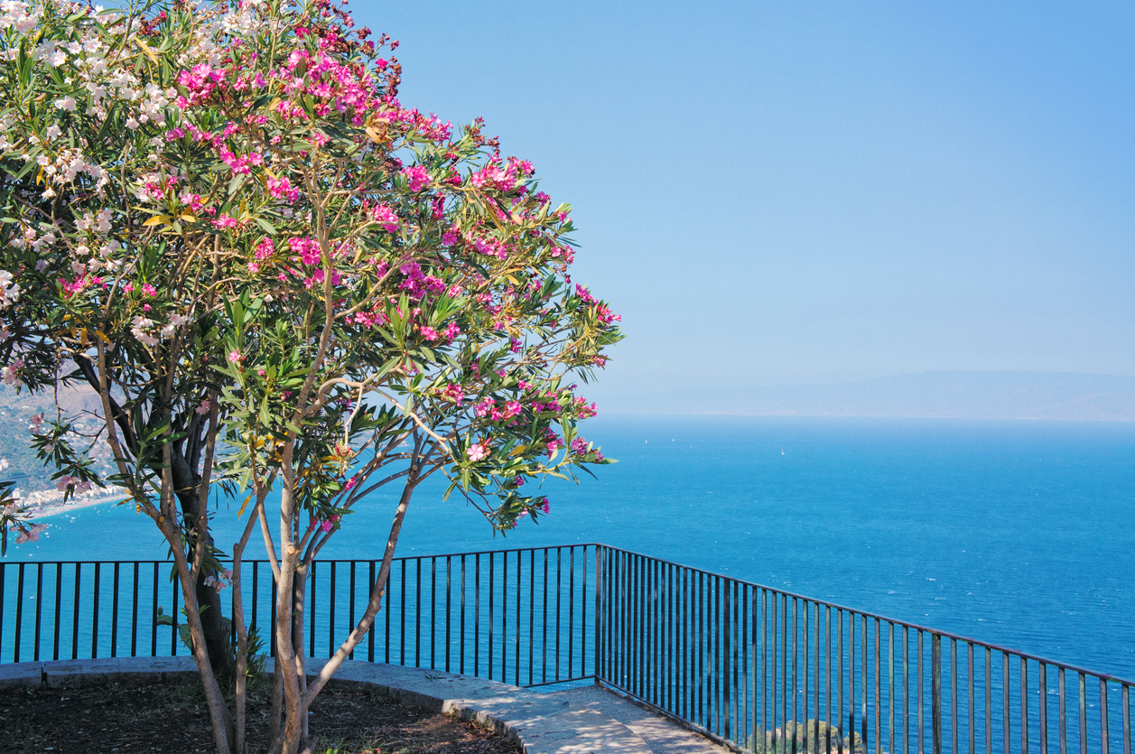 10-Night Sorrento Coast and Sicily Tour from Rome