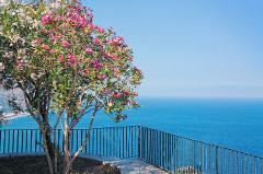 10-Night Sorrento Coast and Sicily Tour from Rome