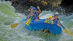 New River Gorge Whitewater Rafting - Lower New Full Day