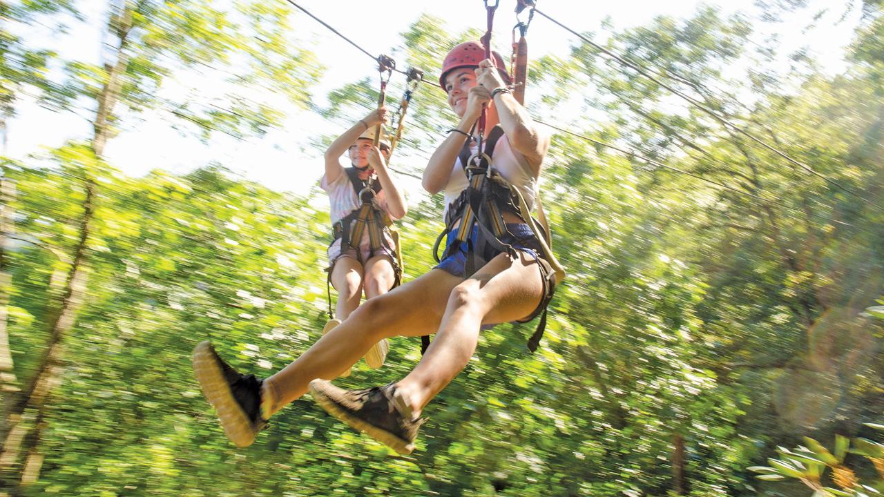 Zip-Line Canopy Tour 