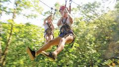 Zip-Line Canopy Tour 