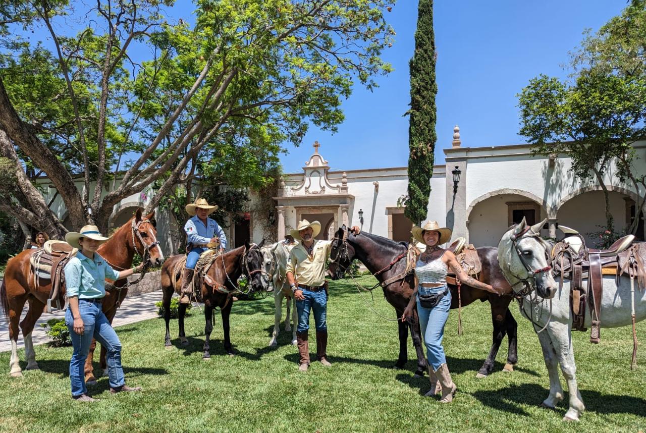 Entre Caballos y Vides