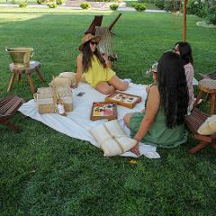 Picnic