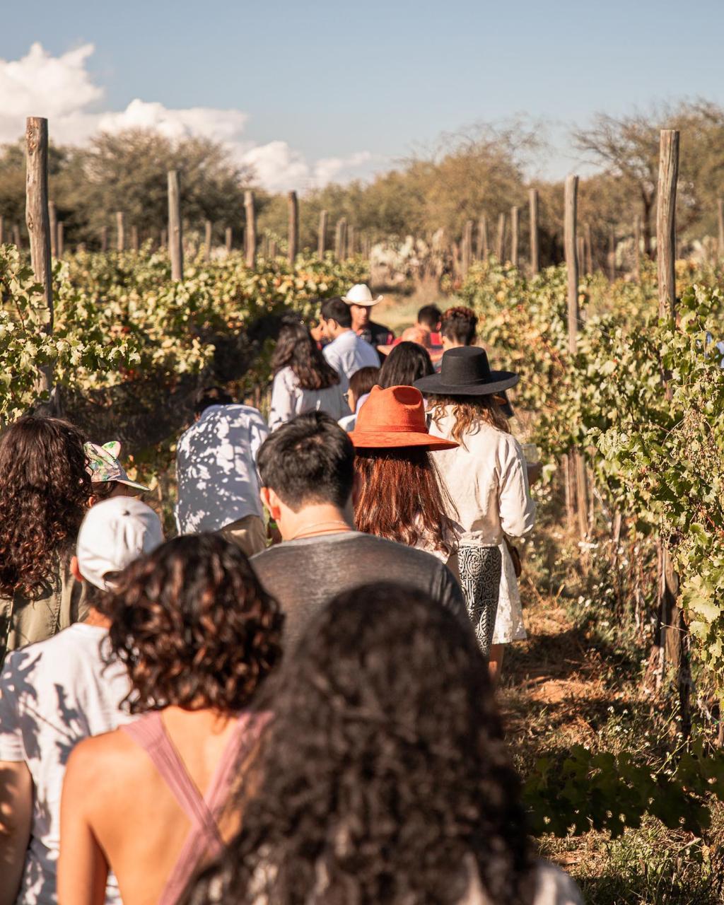 Recorrido guiado con degustación · Español