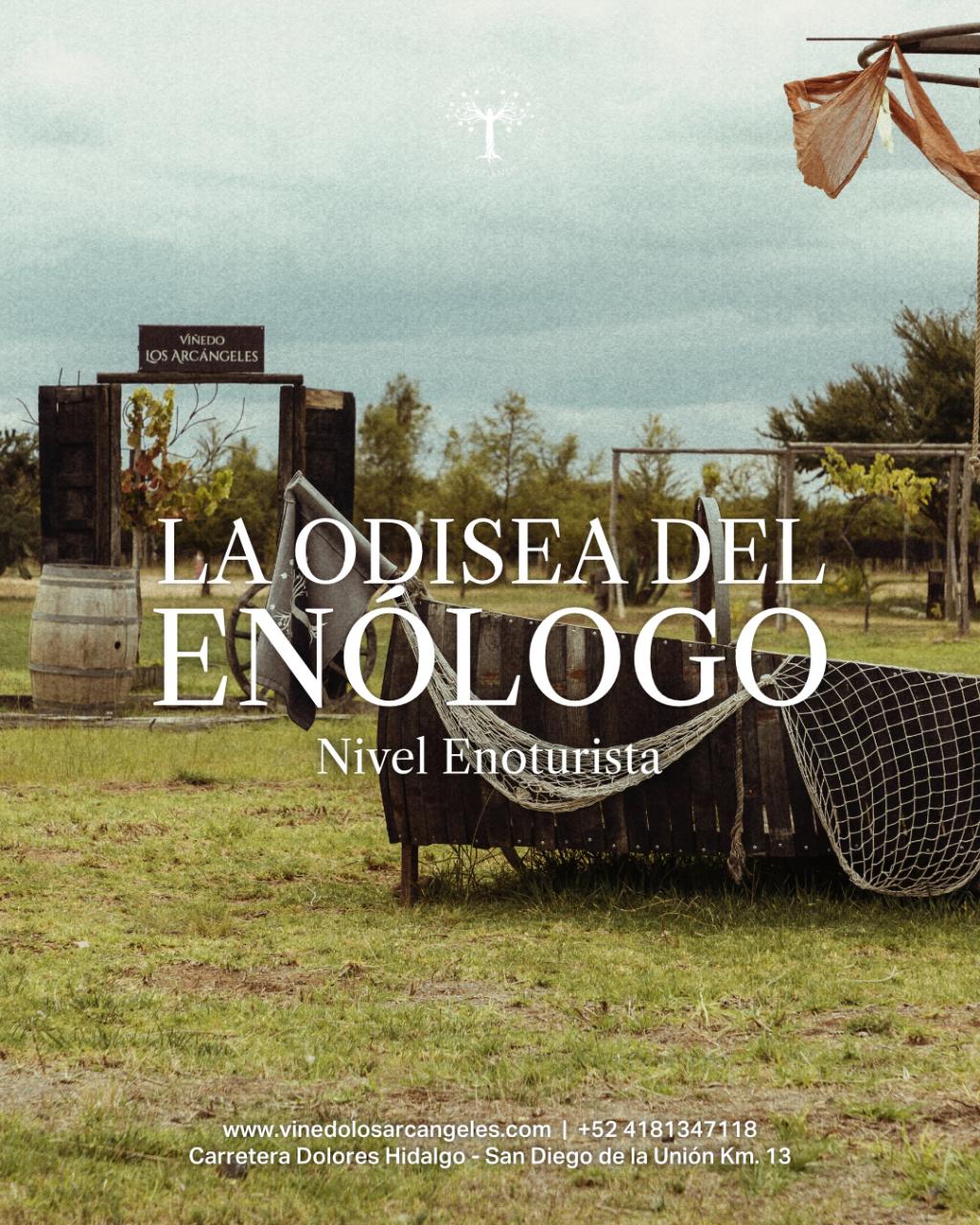 Winemaker Odyssey · English
