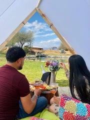 Picnic · English