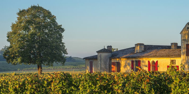 VinTrail France: Sigalas Out of Time at Château Sigalas Rabaud — Bordeaux — Pessac-Léognan, Graves & Sauternes - Photo 2