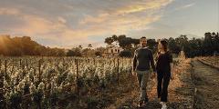 Etna Urban Winery-Sunset tour & dinner