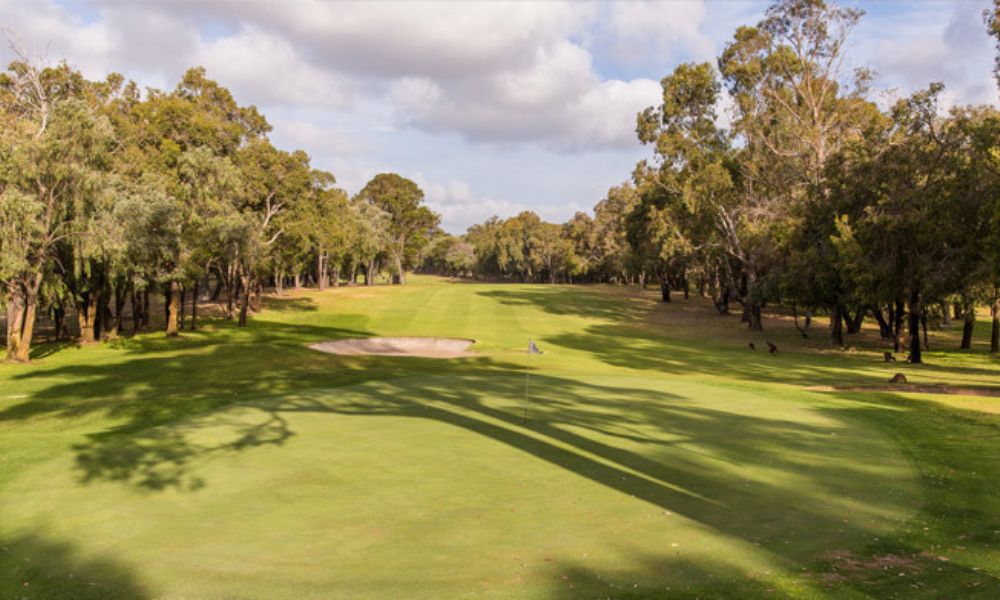 Bunbury Golf Club (WA) - 18 Holes of Golf Experience
