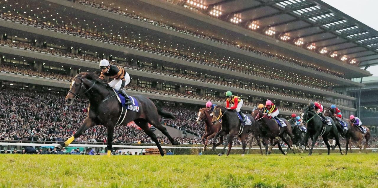 Japan Cup Racing - 17 to 25 November 2024