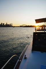 Sunset Sydney harbour cruise