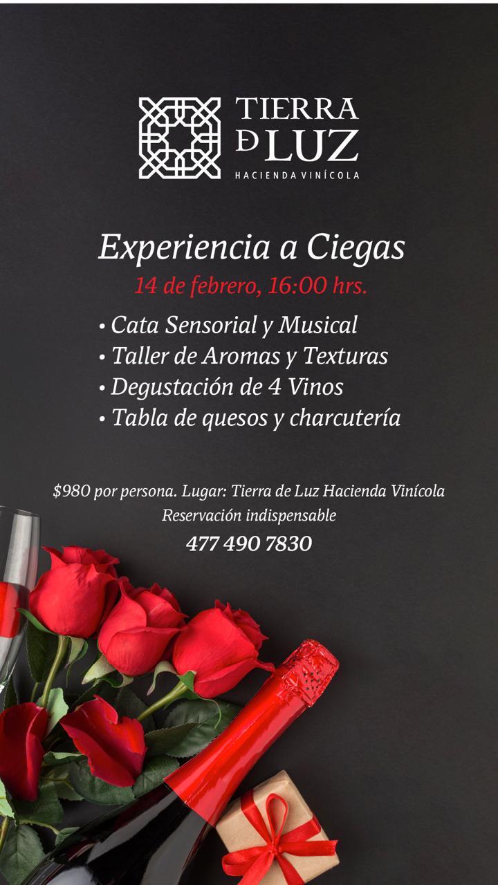 EXPERIENCIA A CIEGAS