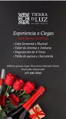EXPERIENCIA A CIEGAS