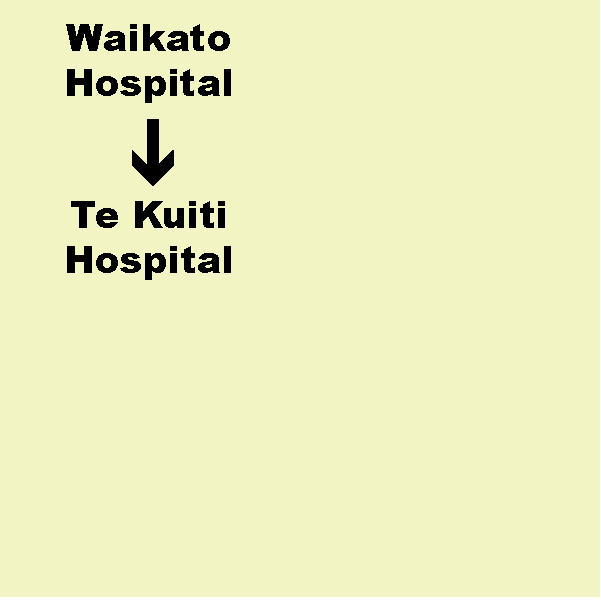 H. Waikato Hospital (Hamilton) to Te Kuiti Hospital - Shuttle. Dep. 3.30pm