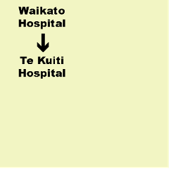 H. Waikato Hospital (Hamilton) to Te Kuiti Hospital - Shuttle. Dep. 3.30pm