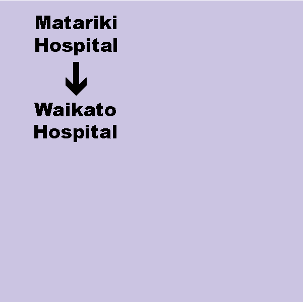 E. Matariki Hospital (Te Awamutu) to Waikato Hospital (Hamilton) Shuttle. Dep. 10.00am