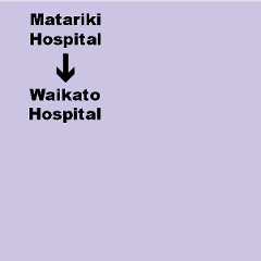 E. Matariki Hospital (Te Awamutu) to Waikato Hospital (Hamilton) Shuttle. Dep. 10.00am