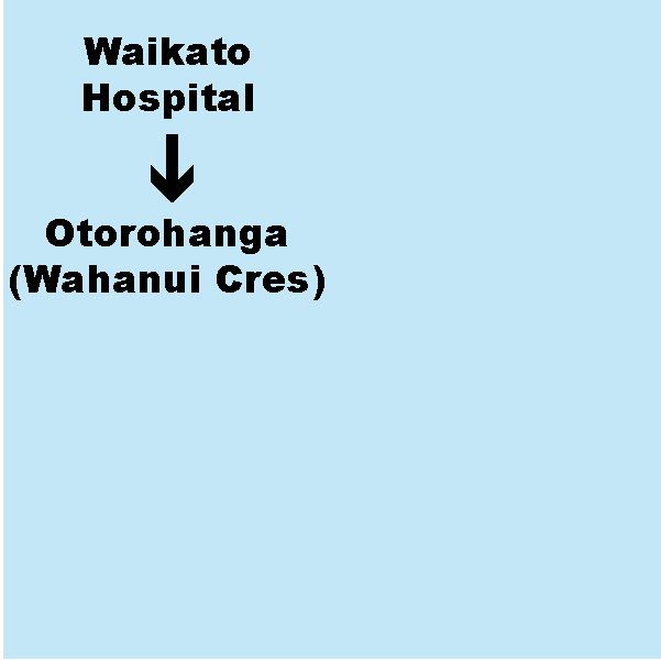 G. Waikato Hospital (Hamilton) to Otorohanga (Wahanui Cres Bus Stop) - Shuttle. Dep. 3.30pm