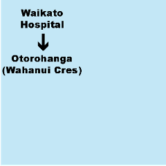 G. Waikato Hospital (Hamilton) to Otorohanga (Wahanui Cres Bus Stop) - Shuttle. Dep. 3.30pm