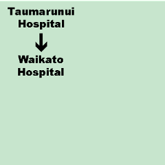 B. Taumarunui Hospital to Waikato Hospital (Hamilton) Shuttle. Dep. 8.00am