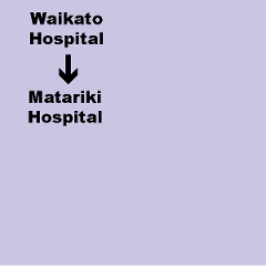 F. Waikato Hospital (Hamilton) to Matariki Hospital (Te Awamutu) - Shuttle. Dep. 3.30pm