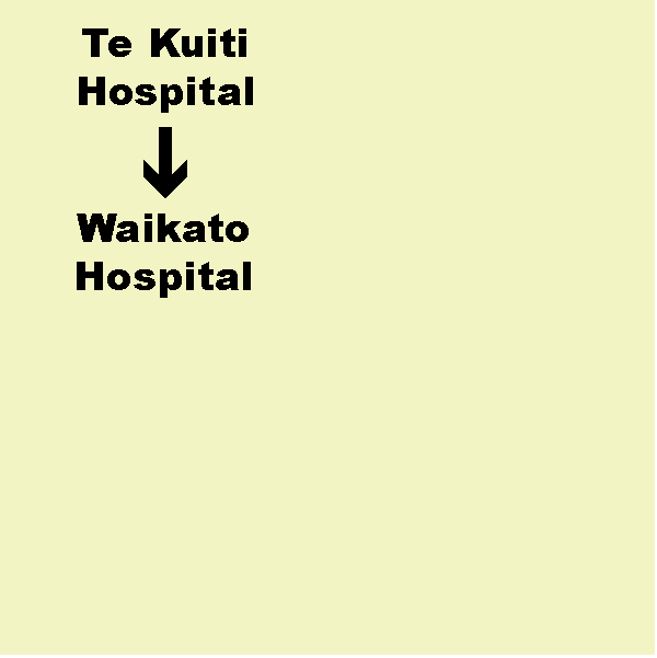 C. Te Kuiti Hospital to Waikato Hospital (Hamilton) Shuttle. Dep. 9.05am