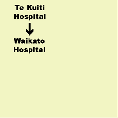 C. Te Kuiti Hospital to Waikato Hospital (Hamilton) Shuttle. Dep. 9.05am