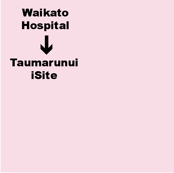 J. Waikato Hospital (Hamilton) to Taumuranui iSite - Shuttle. Dep. 3.30pm