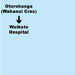 D. Otorohanga (Wahanui Cres) to Waikato Hospital (Hamilton) Shuttle. Dep. 9.30am