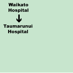 I. Waikato Hospital (Hamilton) to Taumarunui Hospital - Shuttle. Dep. 3.30pm