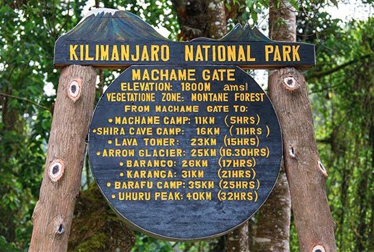 7 DAY - MACHAME KILIMANJARO ROUTE