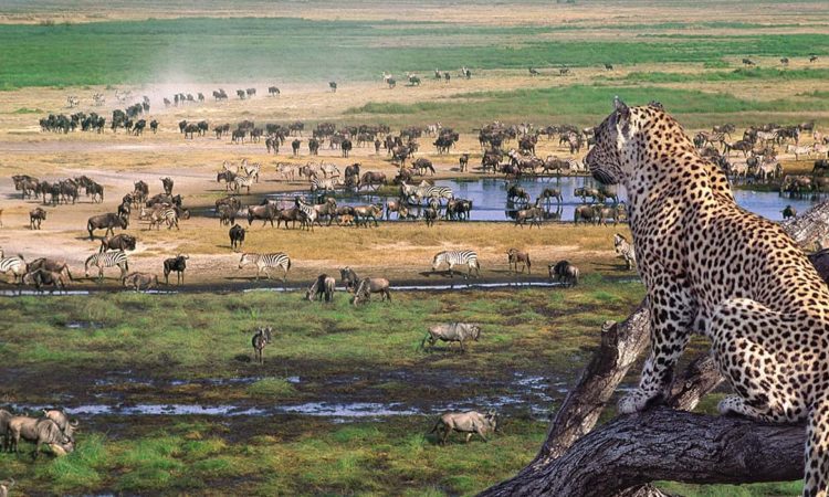 3 SAFARI PLAN IN NGORONGORO CONSERVATION AREA AND SERENGETI NP