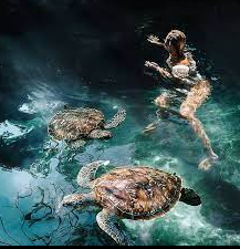 SWIMMING WITH TORTOISE IN ZANZIBAR