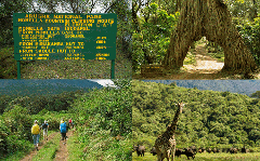 3 DAYS MERU TREK