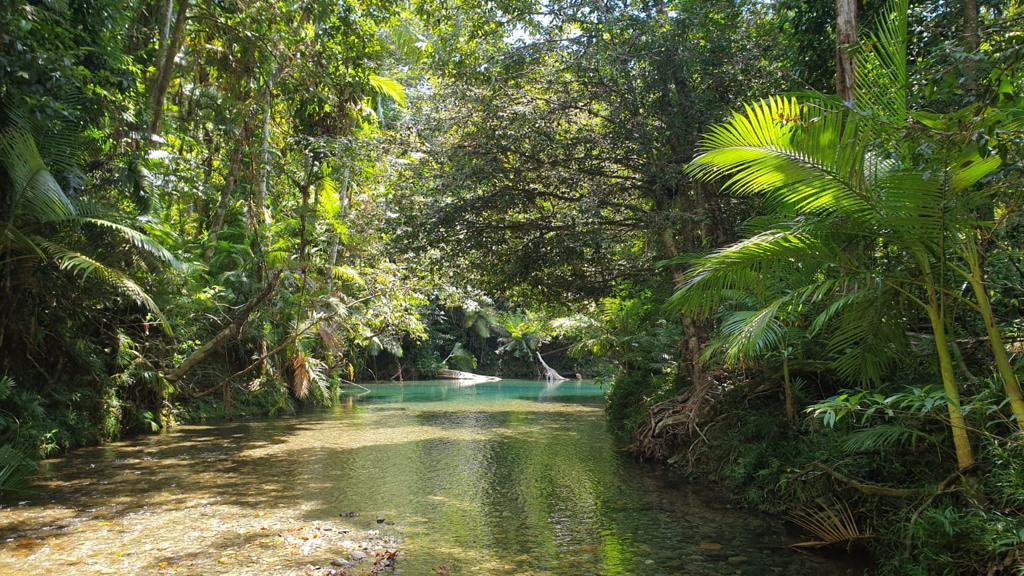 Freediving Level 2 Course - Volcanic Crater Lake
