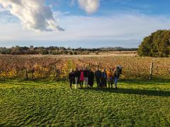 Half-Day Canberra Winery Tour to Murrumbateman