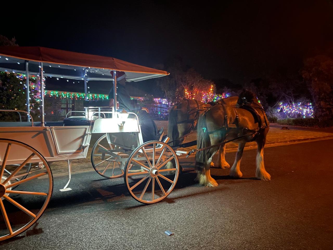 Long Christmas Light Tour (exclusive use)
