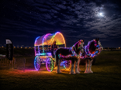 Illumi-neigh Carriage Ride Exclusive Use 