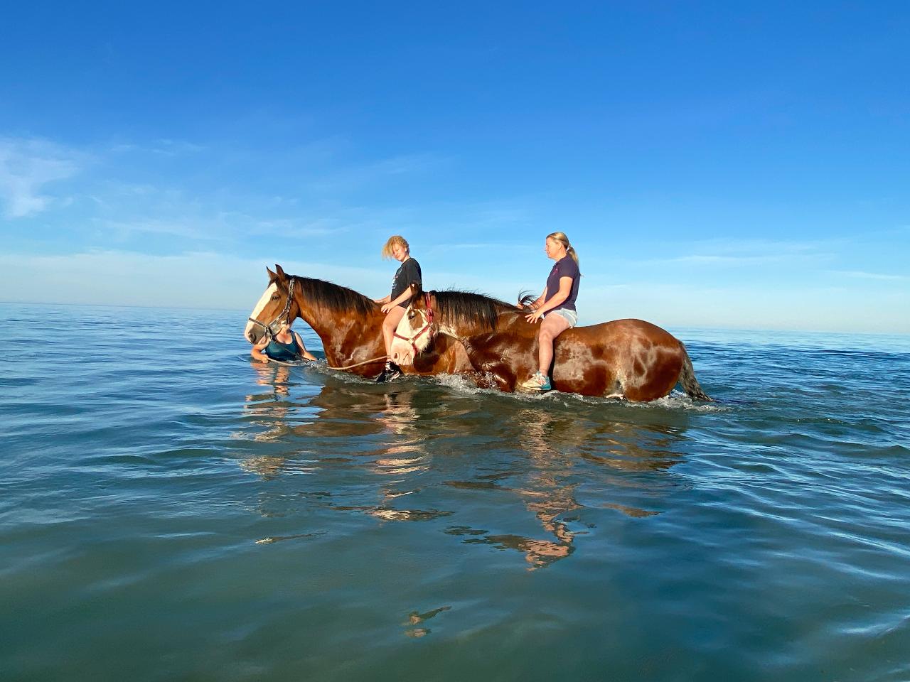 Horse Beach Experience GIFT CARD