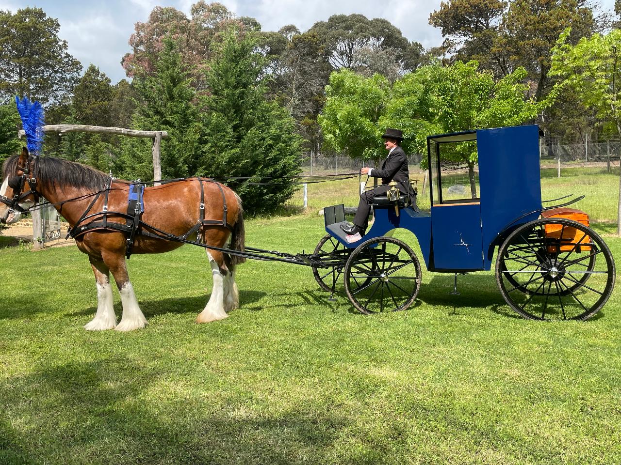 Valentines Day Carriage Ride 