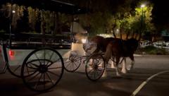 Horse Drawn Dark History Tour (exclusive)