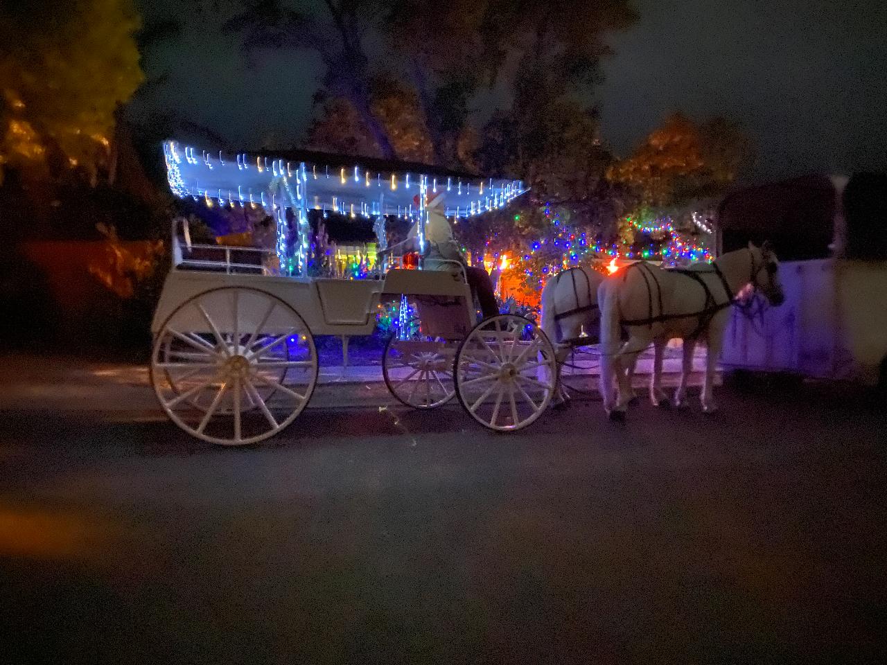 Horse Drawn Christmas Light Tour (Per person)