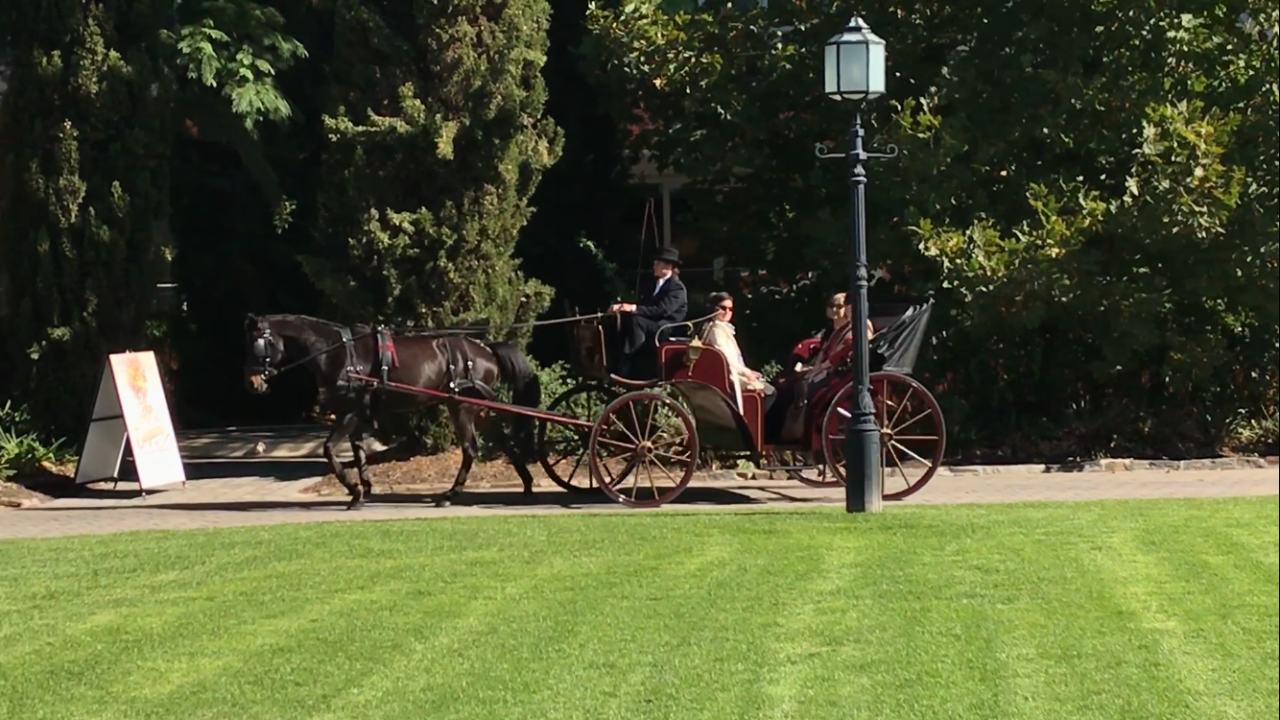 Carriage Ride with Devonshire Tea