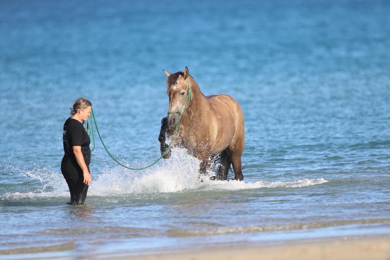 Summer Splash Session