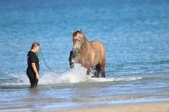 Summer Splash Session