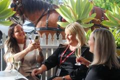Horse Drawn Pub Crawl