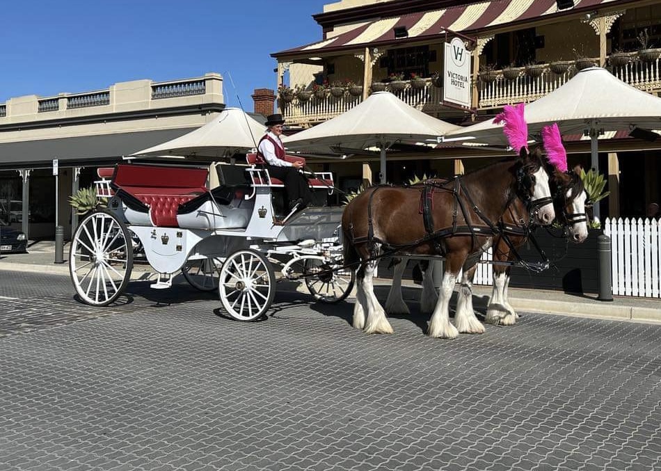 Carriage Ride