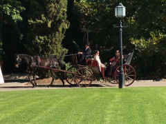Carriage Ride