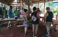 Chocolate Farm Tour Manuel Antonio 